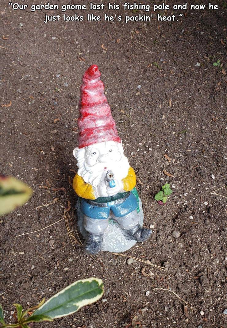 You don't want to mess with this garden gnome.